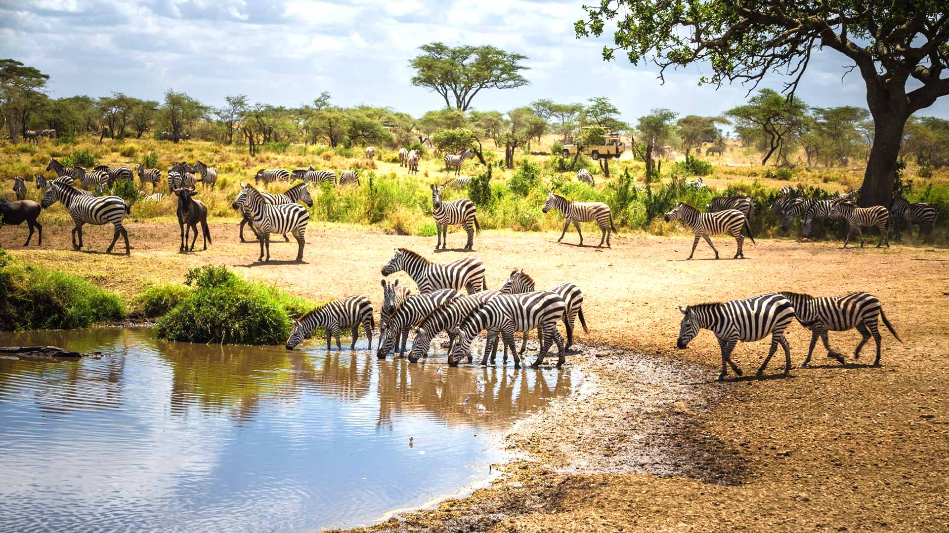 Lake Manyara Safari 03