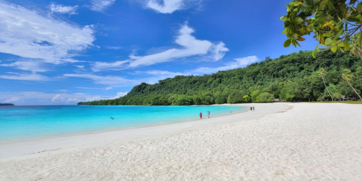 Mnemba Island Snorkeling 05