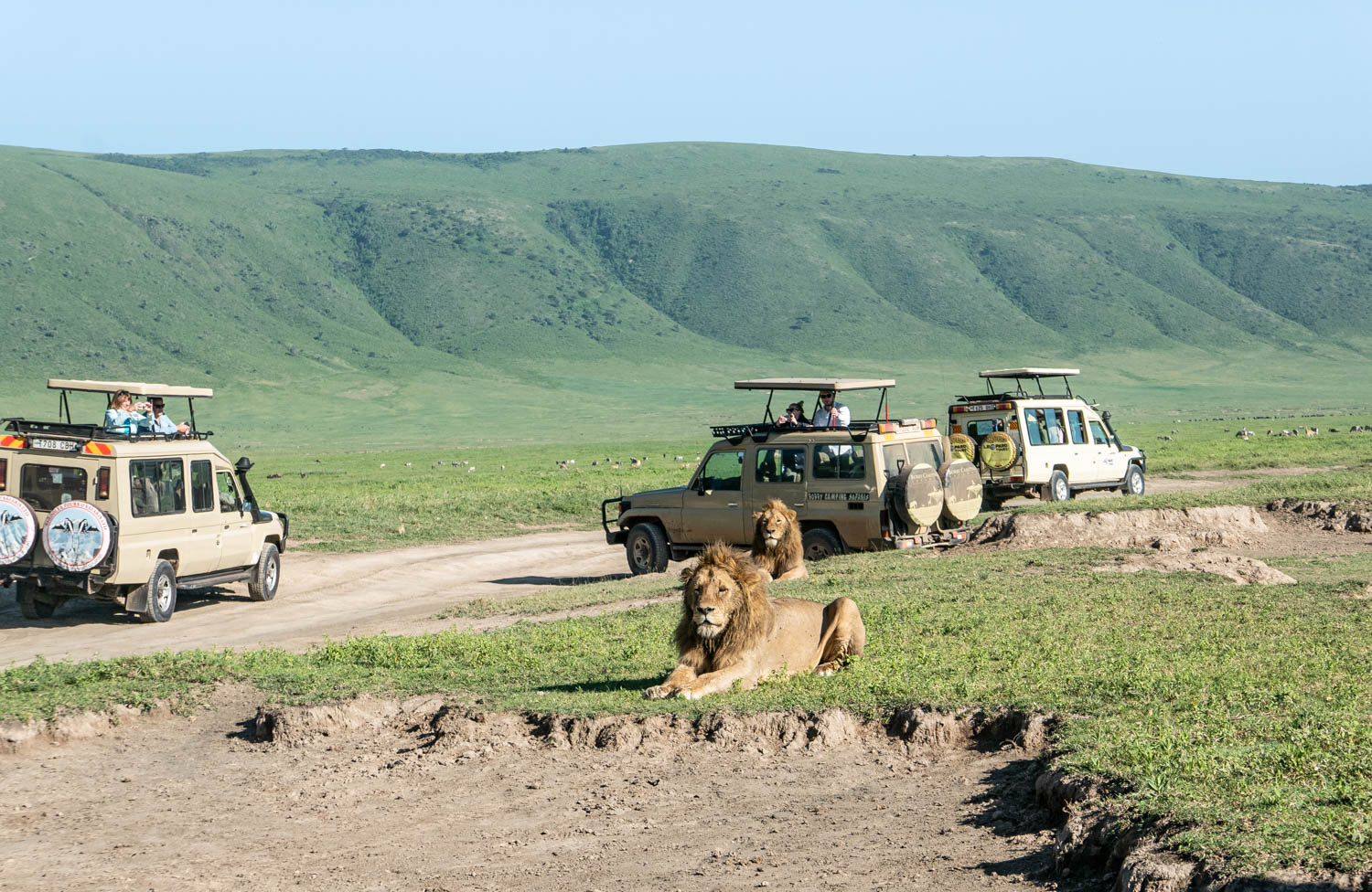 Ngorongoro Crater 02