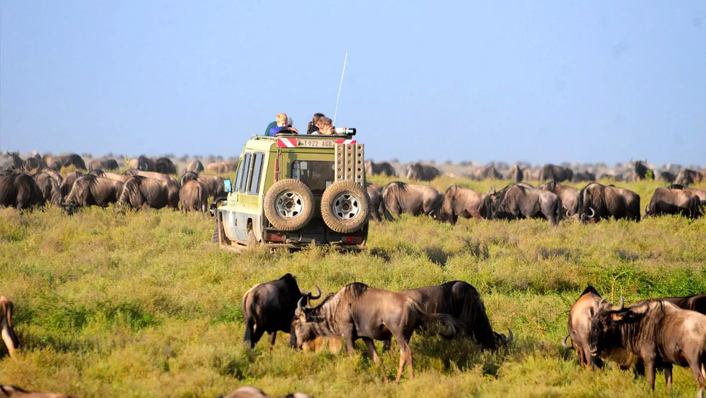 Serengeti National Park Wildlife Safari