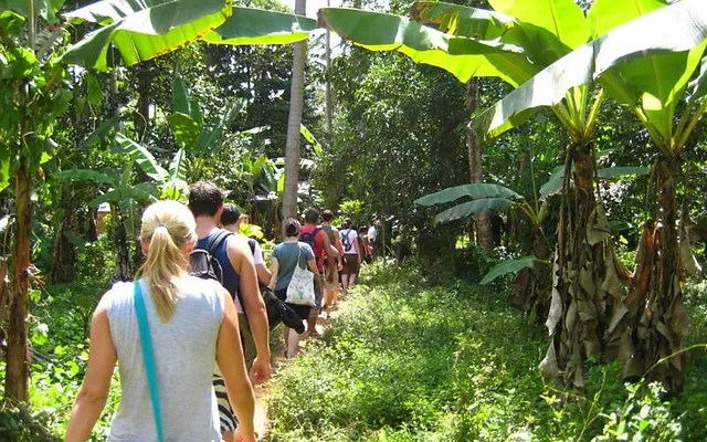 Spice Farm Tour 03