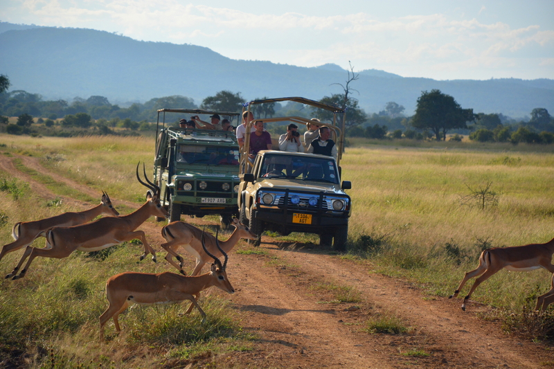 mikumi_selous_safari