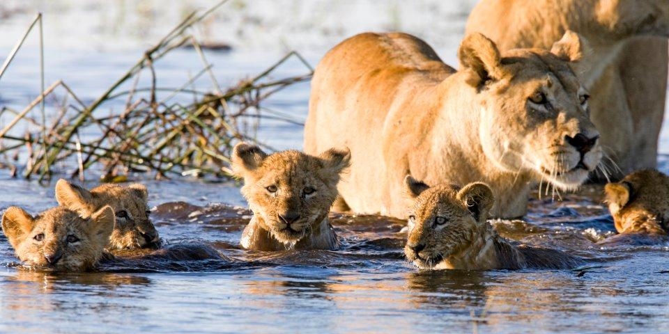 Saadan National Park 01