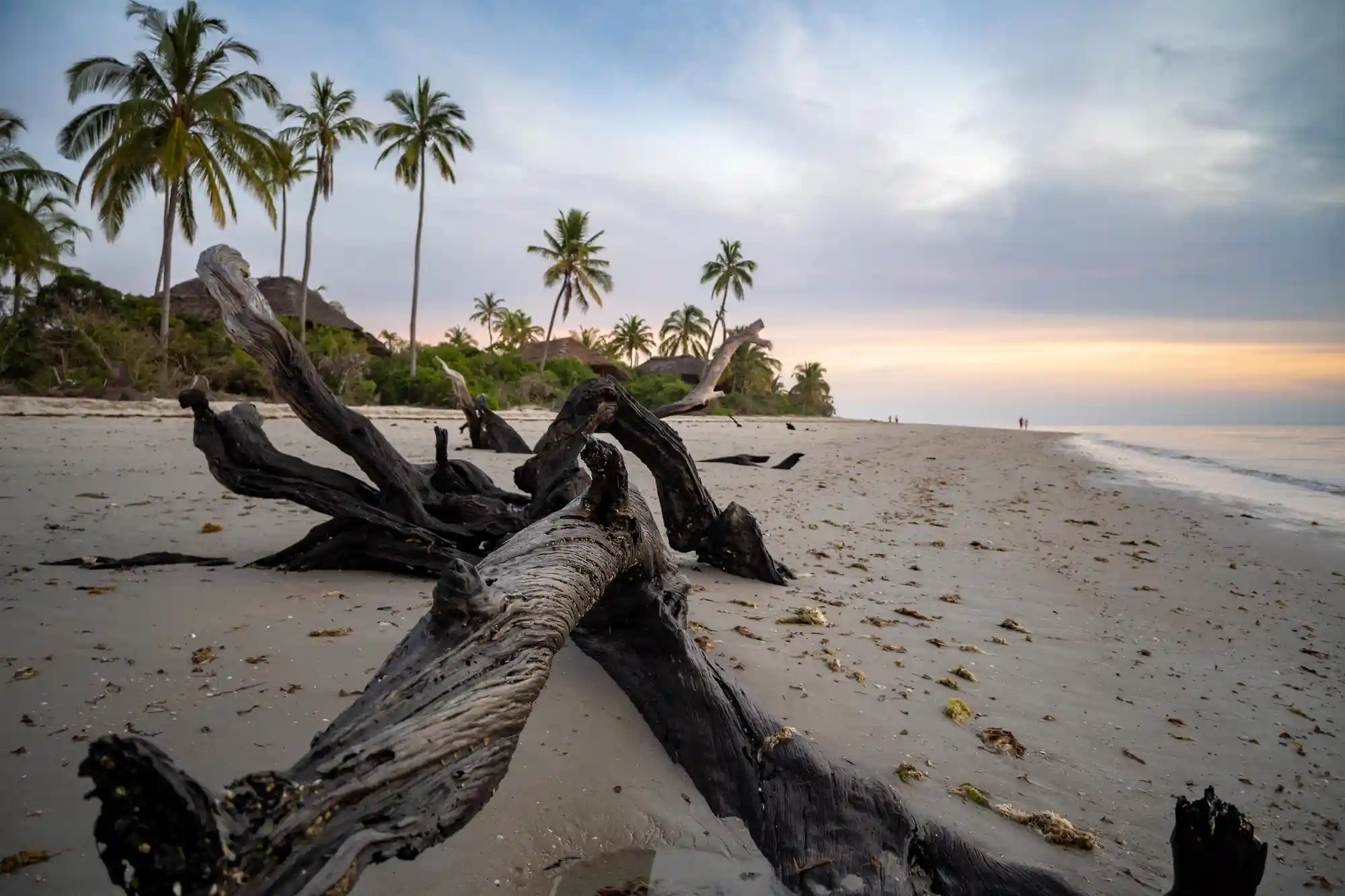 Saadan National Park 03