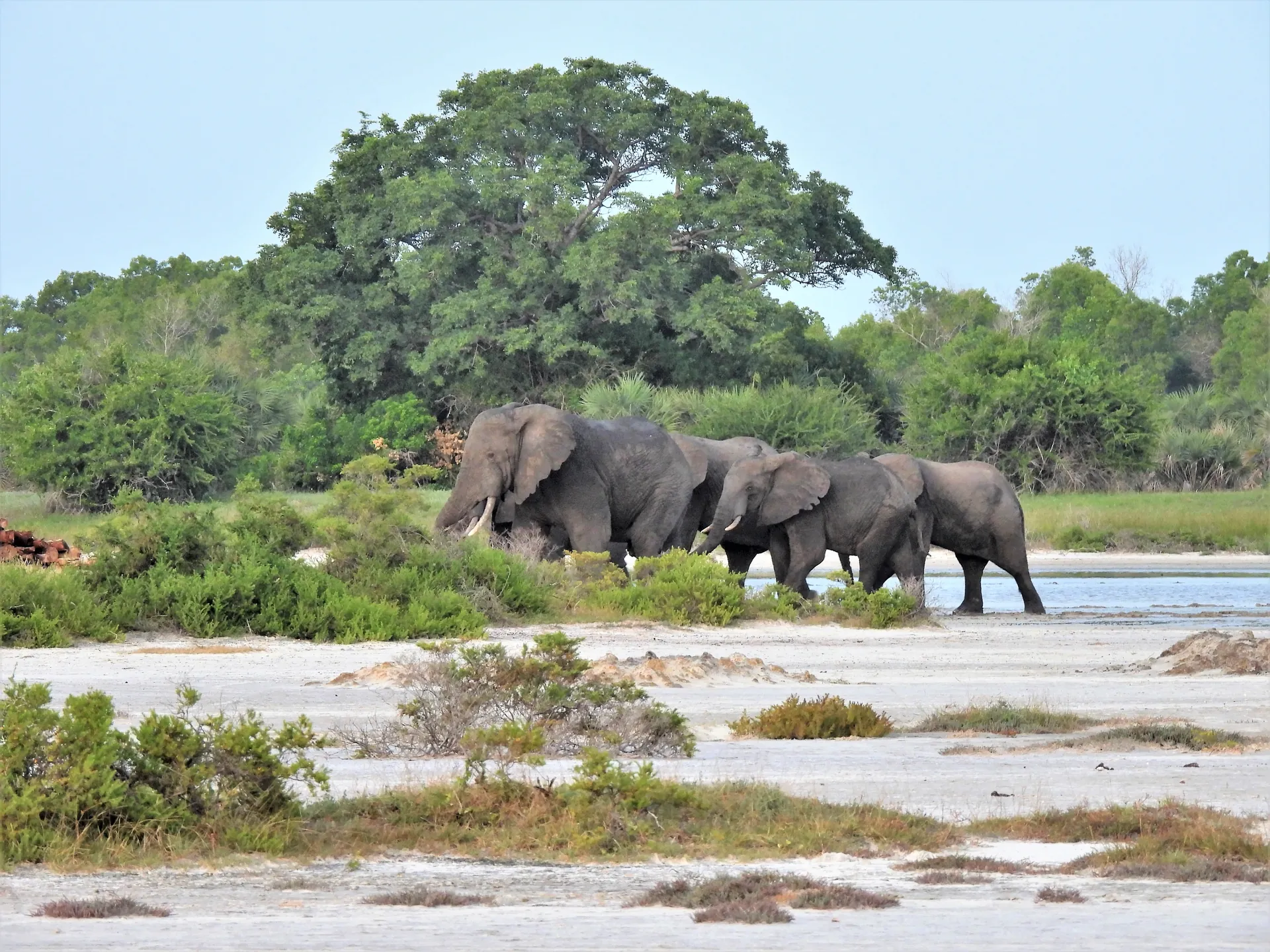 Saadan National Park 05