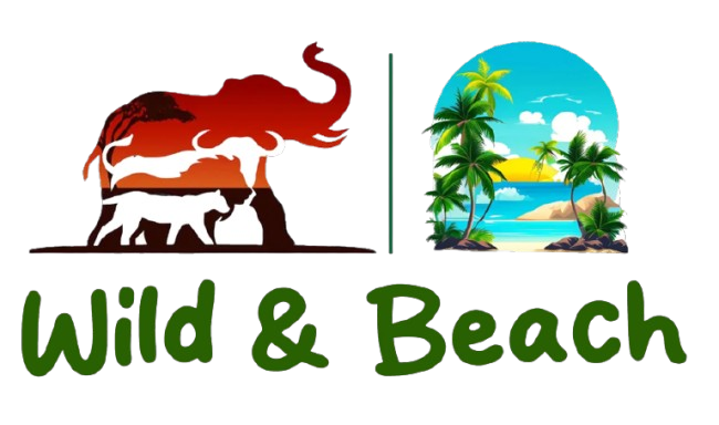 Wild and Beach Logo